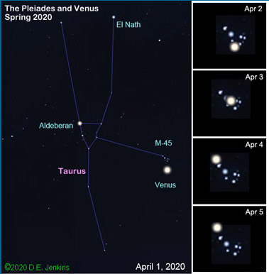 Venus visits the Pleiades star cluster April 2020