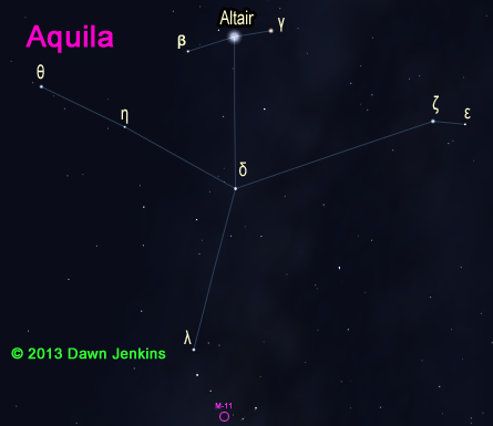 Aquila the flying eagle
