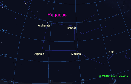 The constellation of Pegasus against a celestial grid