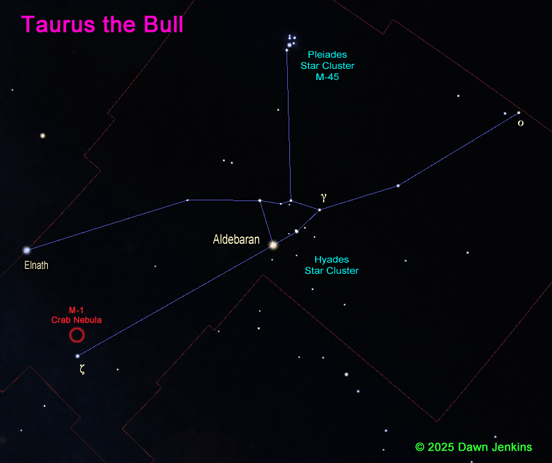 constellation of taurus the bull