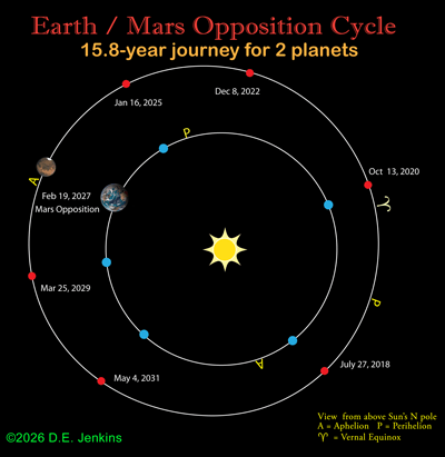 The orbits of Mars and Earth line up with the Sun for opposition every 720 days.