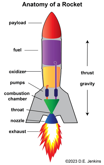 rocket anatomy