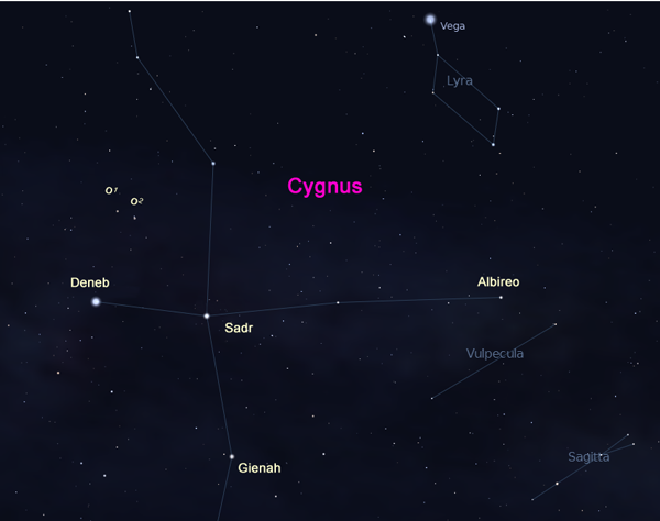 constellation of cygnus the swan